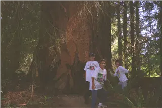 small_9400 1231 cew seattle etcIMG0045.webp